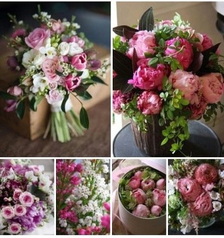Марина Дмитриевна