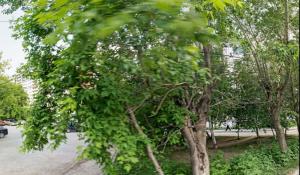Фотография Ателье Обновка 1