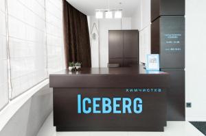 Фотография Iceberg 0