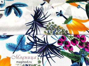 Фотография Модисса 3